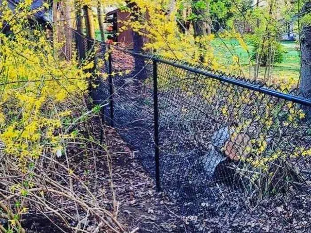Tall PVC-coated chain link fence with privacy slats — commercial yard