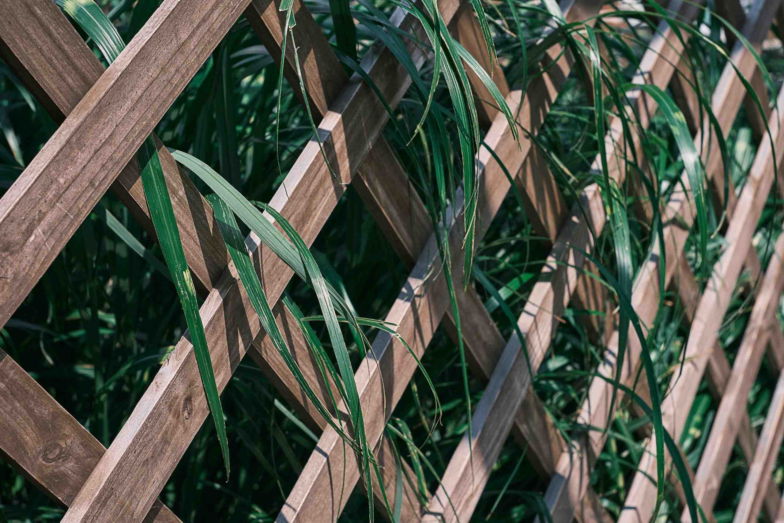 Custom Fence Designs: Create a Unique and Personalized Look for Your Property