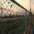 Where to buy chain link fence